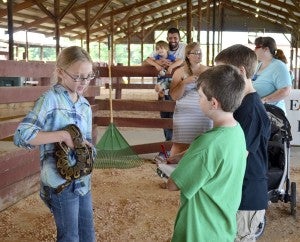 Cooperative Extension Tessa Christner talks to the judges about her ball python named Like-a-Lot.