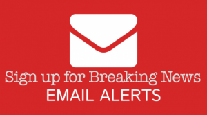 15-email-alert-services-672x372