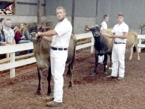 Cooperative Extension Jonathan Luther and Coby Kivet display their showmanship skills in the Supreme Showmanship division of the Dairy Show at the Rowan County Fair.
