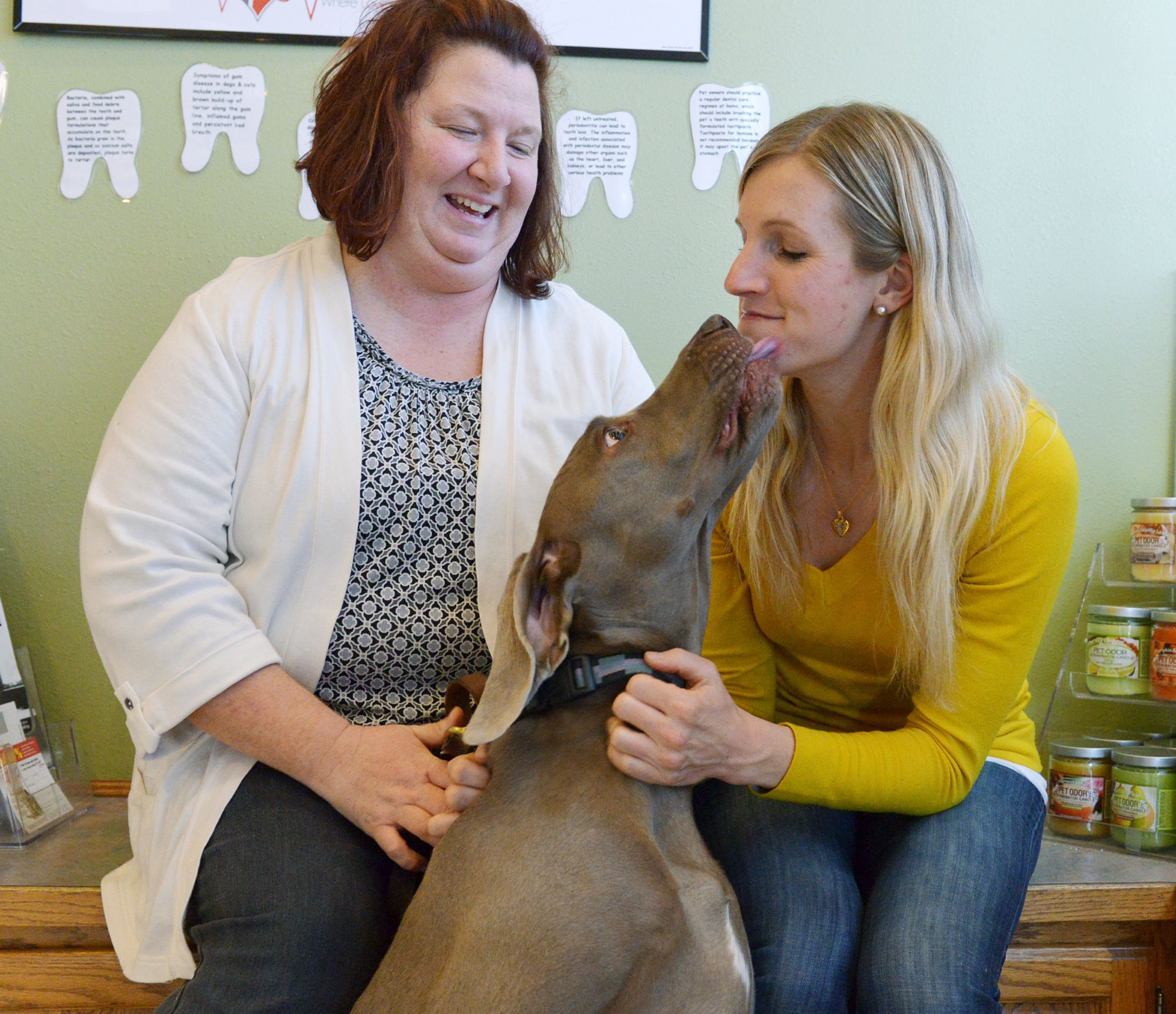 Book to honor rescue dog from Joplin tornado Salisbury Post