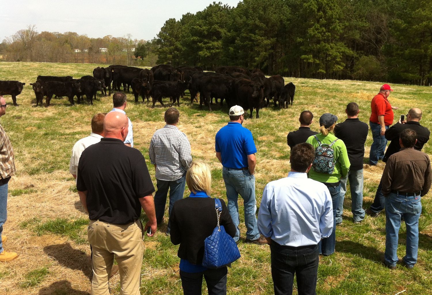 Beef farmer teaches food executives a few things at Back Creek Angus