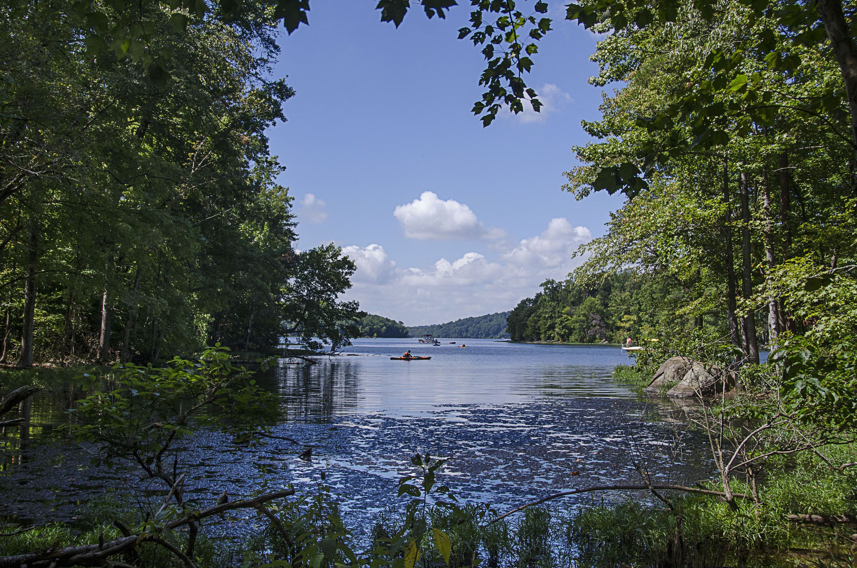 Researchers use Uwharrie National Forest as living lab Salisbury Post