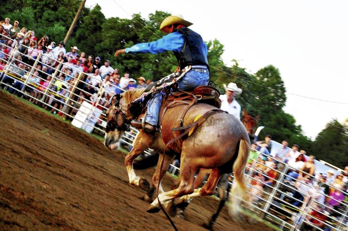 Huge crowds gather again for Cleveland Rodeo | Salisbury Post