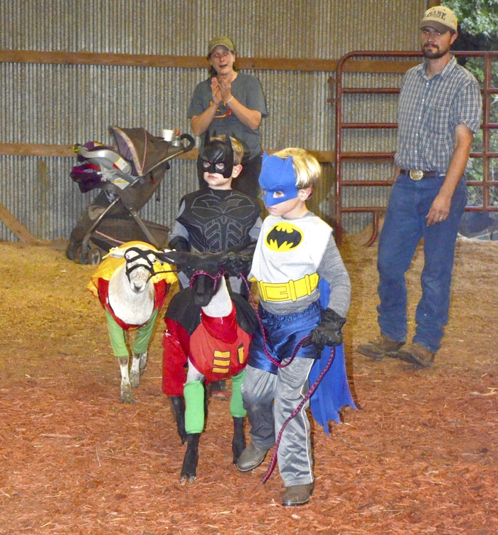Lamb dressup show was baamazing Salisbury Post Salisbury Post