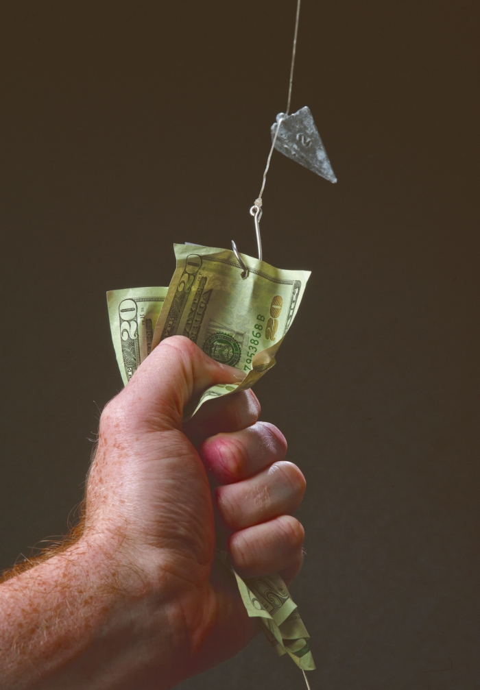 Hook Line And Sinker Navigating Fraud In The Information Age 