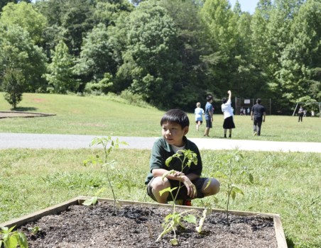 Growing green thumbs China Grove Elementary starts garden Salisbury