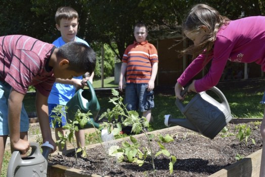 Growing green thumbs China Grove Elementary starts garden Salisbury