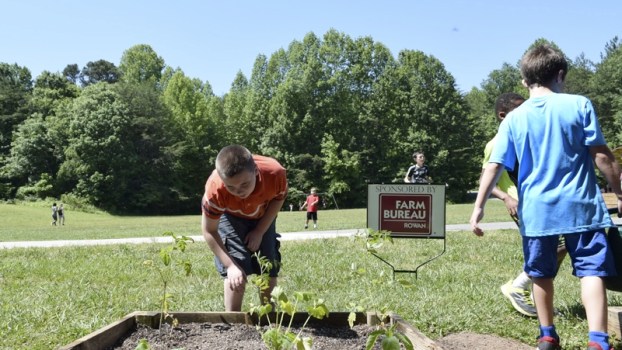Growing green thumbs China Grove Elementary starts garden Salisbury