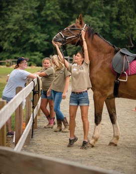 Saving Grace Farm horse camp teaches riding and grooming skills