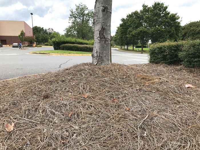 Much ado about mulch Salisbury Post Salisbury Post