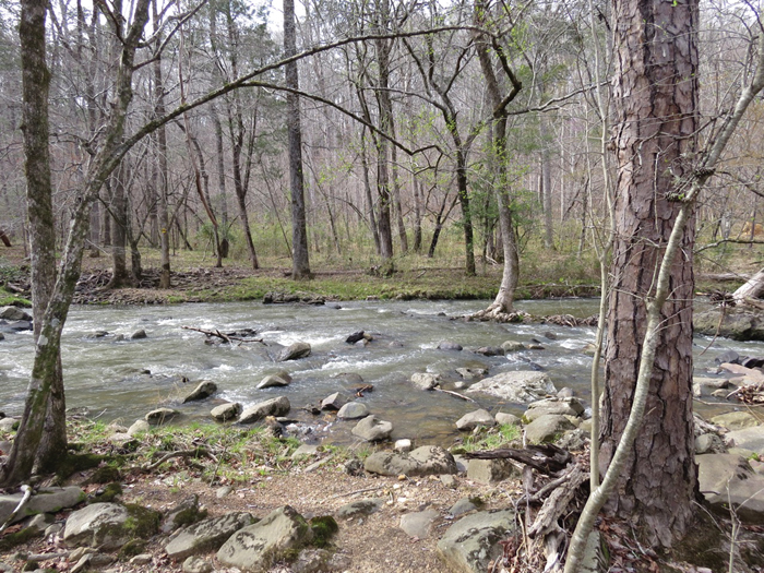 Morrow Mountain State Park gains 45 acres along Mountain Creek