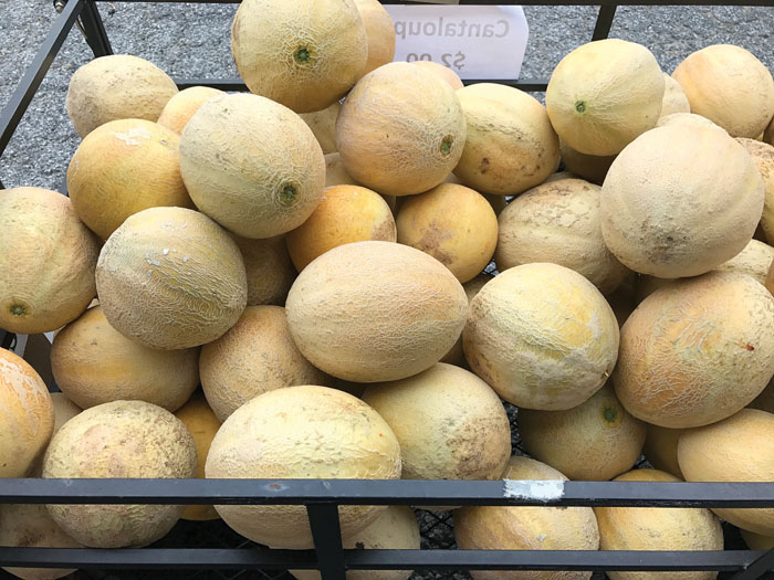 Enjoy a refreshing melon season Salisbury Post Salisbury Post
