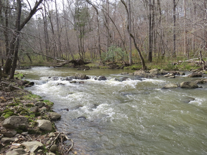 Morrow Mountain State Park celebrates acquisition of 45 new acres