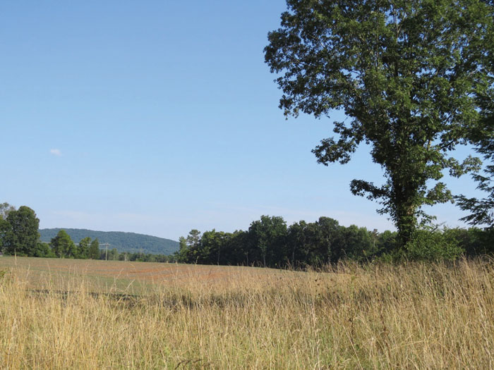 LandTrust gets 135,000 grant to preserve Randolph County farm