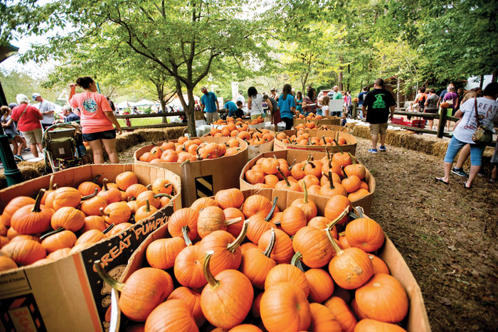 County announces cancellation of Autumn Jubilee - Salisbury Post