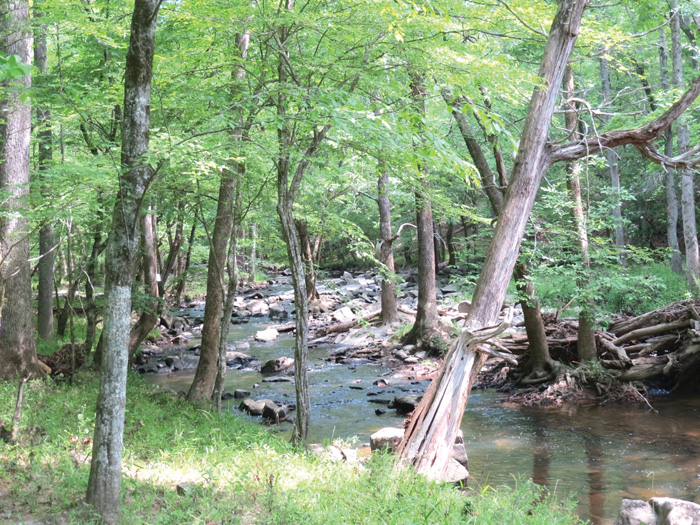 25 acres added to Morrow Mountain State Park Salisbury Post