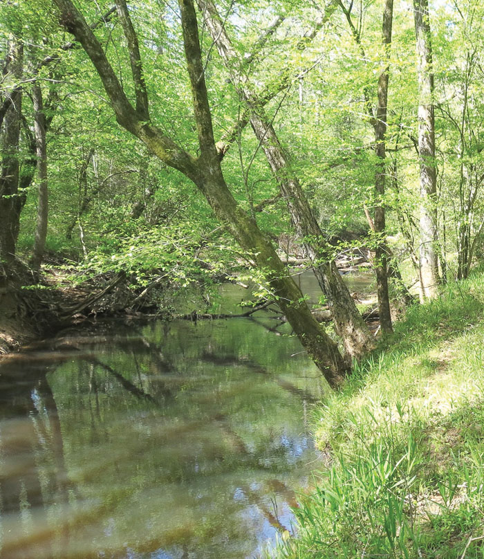 170acre property in Moore County protected by Land Trust Salisbury