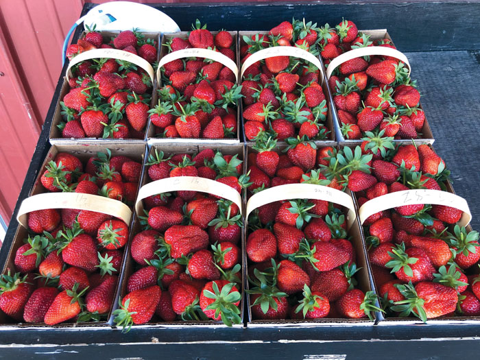 Patterson Farm Market creates strawberry drivethru, sells other