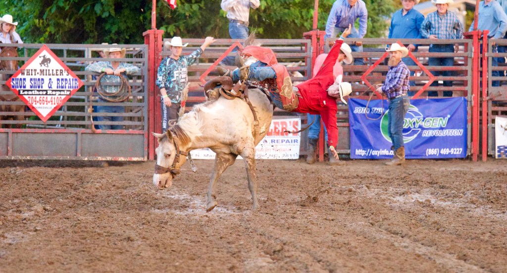 Cleveland Rodeo packs house for 10th year | Salisbury Post