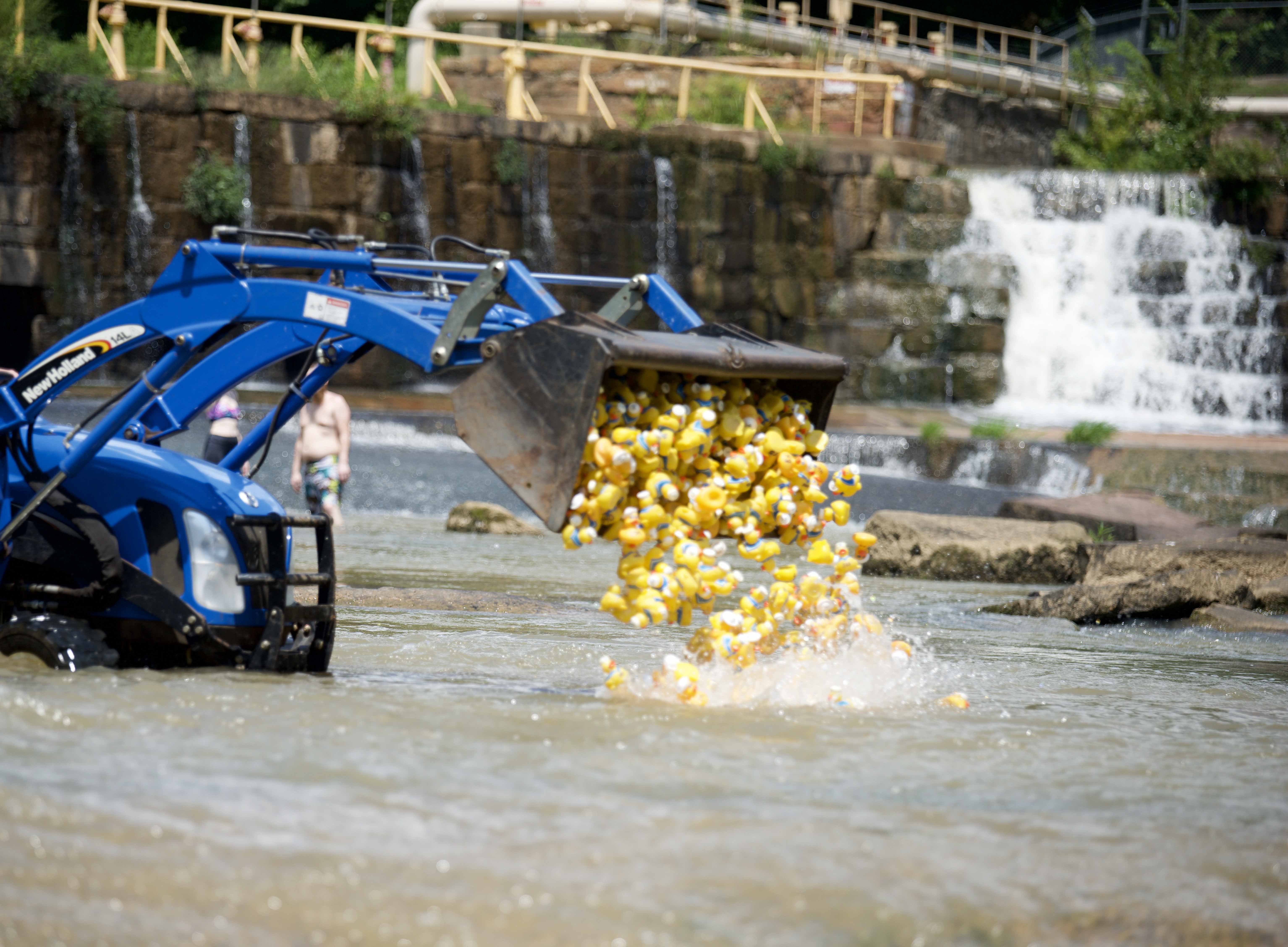 1,000 rubber ducks race for glory at 'the Bullhole' Salisbury Post