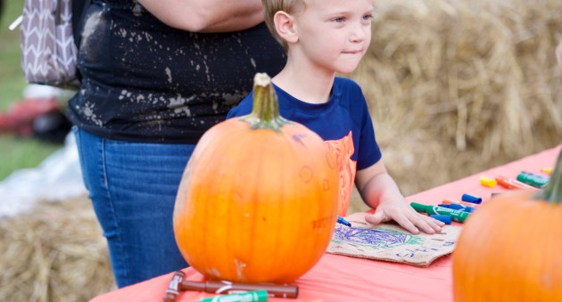Granite Fest makes a comeback with music, vendors and fun for kids