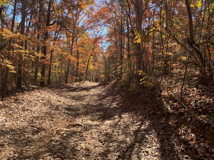 Three Rivers Land Trust transfers 4wheel drive trail property to