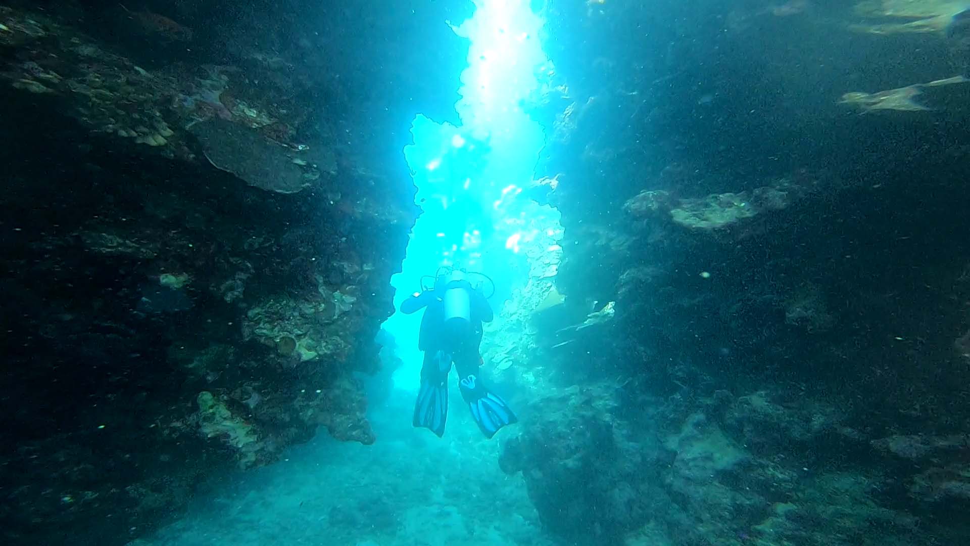 Coming up for air How a 10yearold became a scuba diving master