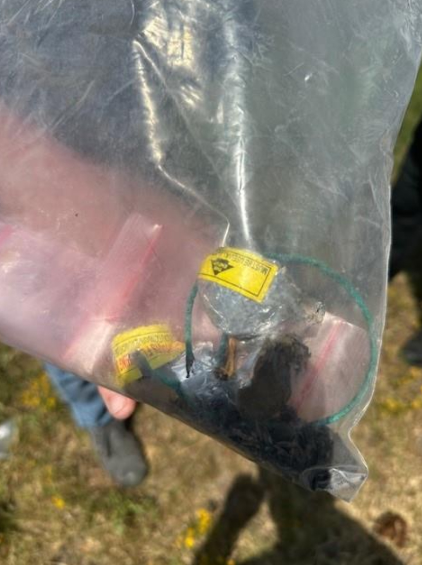 【nabe190様用】EXPULSION / Wasteworld Explosive devices in mailbox, trash turn out to be fireworks